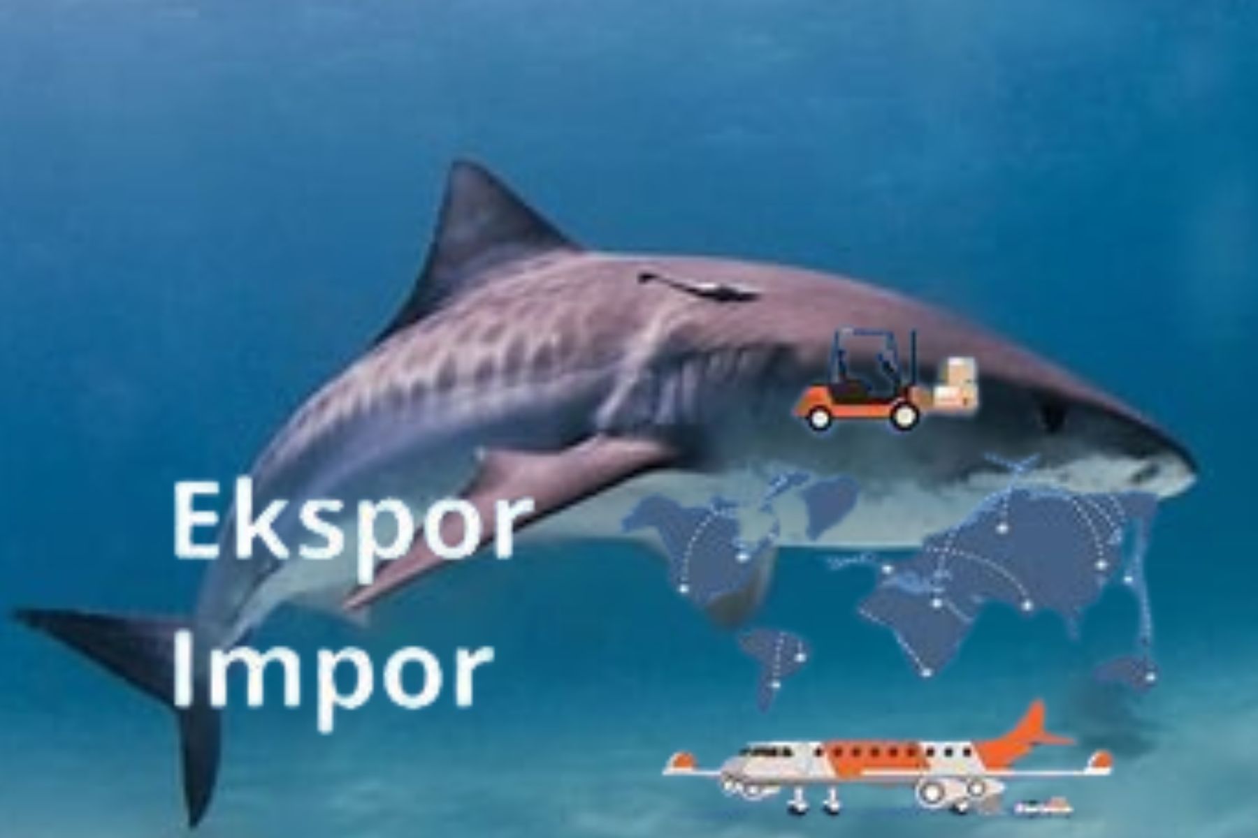 These are the Export and Import of Sharks in Australia